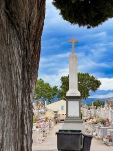 3A337C04-7326-4260-BA4A-09CB3298A785_1_201_a