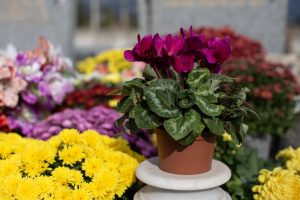 555EB3FB-23AE-4686-BA2B-8125F03A58F1