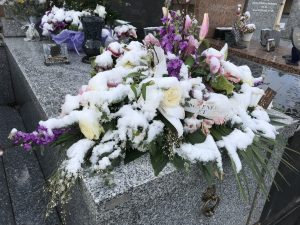 62E82F13-426A-46AE-ADBC-9C70AFBF76E4_1_105_c