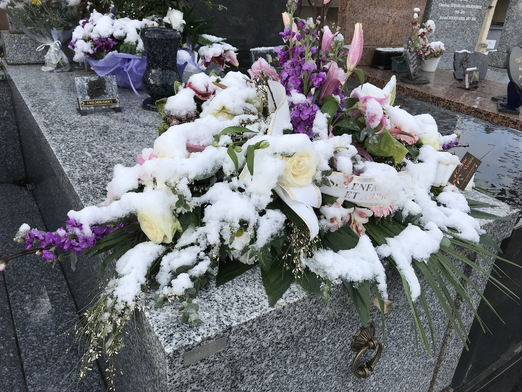 62E82F13-426A-46AE-ADBC-9C70AFBF76E4_1_105_c