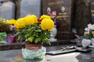 81DAD202-79A7-43B9-A274-740175B5091D