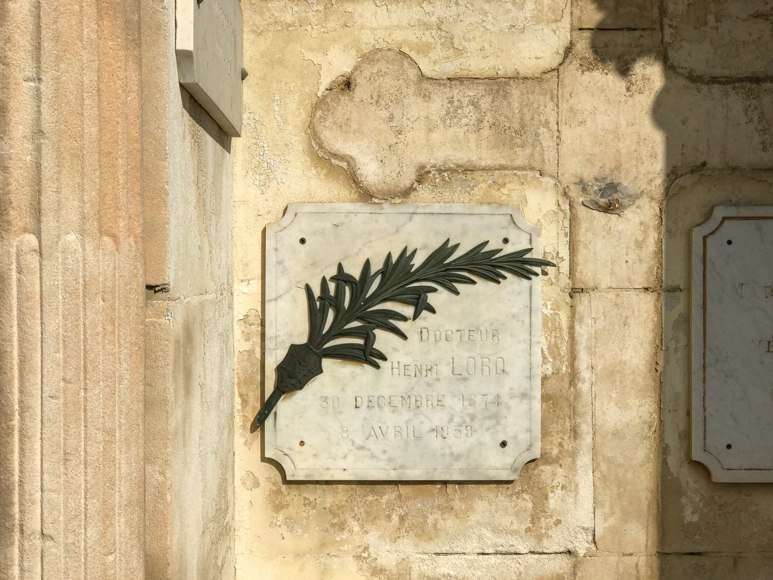 95B5C73C-B34F-4687-9DE4-B5FA48DABDC5_1_201_a