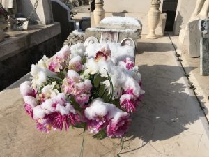 9C6B351E-4CED-41DD-9EB9-4E3BF350A316_1_105_c