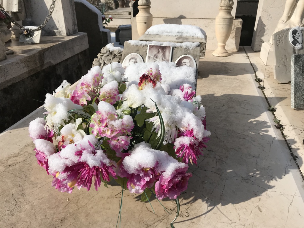 9C6B351E-4CED-41DD-9EB9-4E3BF350A316_1_105_c