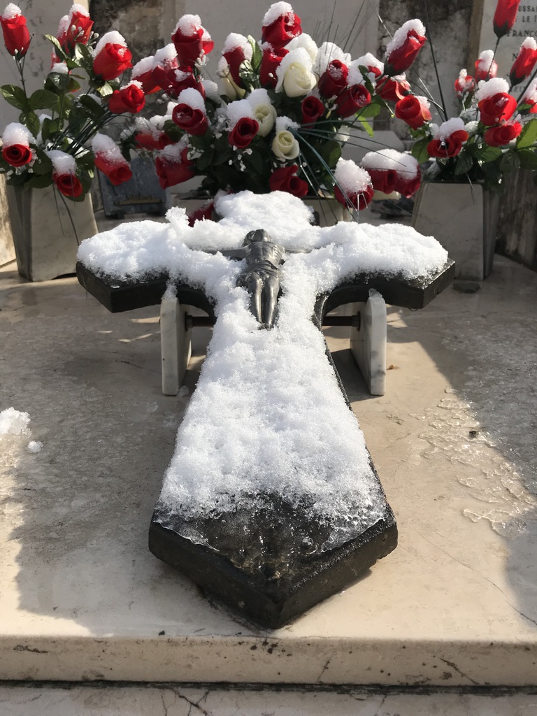 AB0252B1-2D84-4495-A316-7B297CA5B8ED_1_105_c