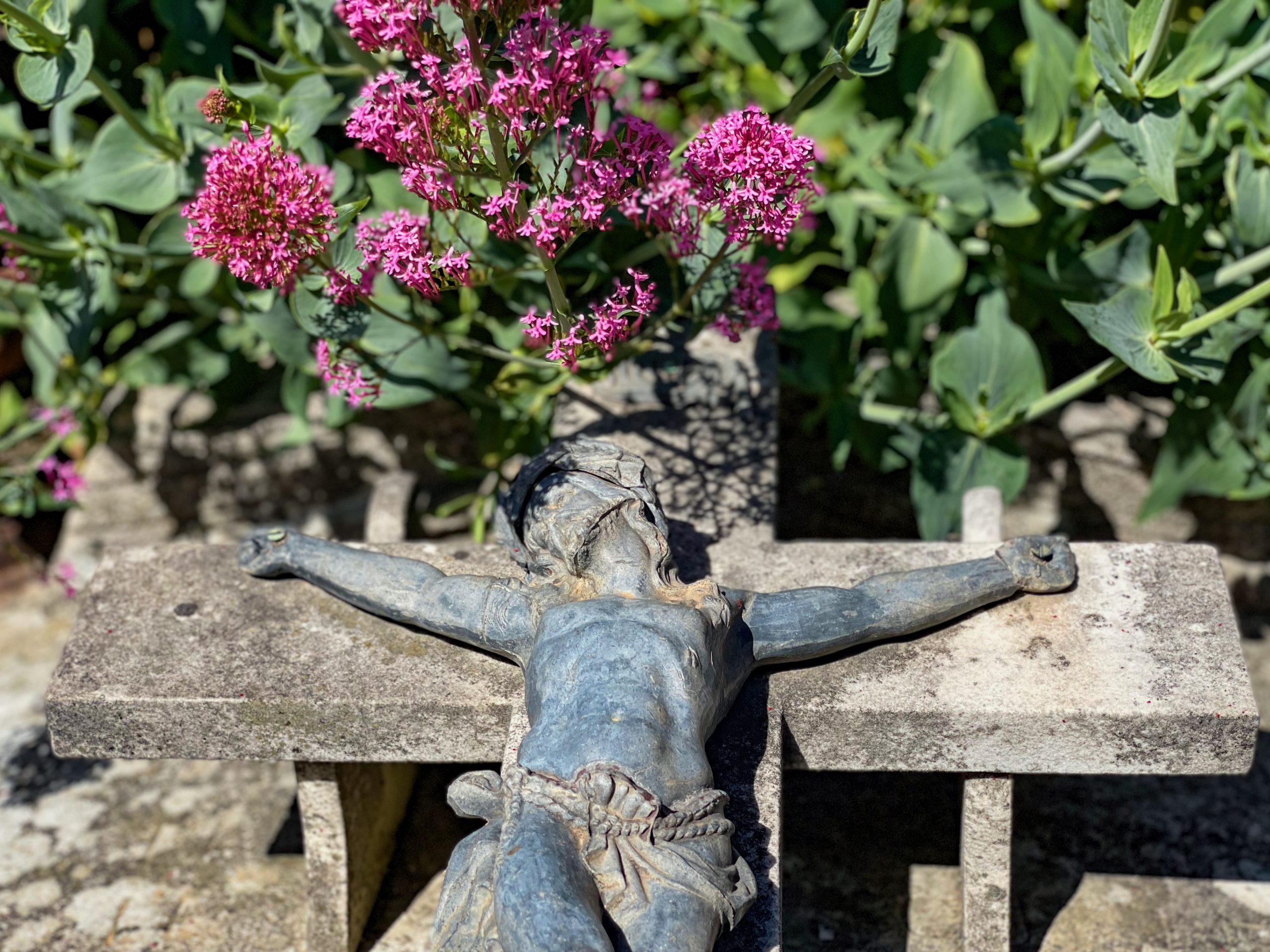 CC901BE6-894A-498A-A201-D85C3E8BA9CF_1_201_a