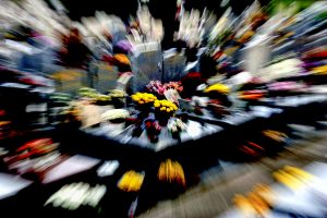 E084D4F2-12FF-4EBD-9D74-A0D31E55BC3B