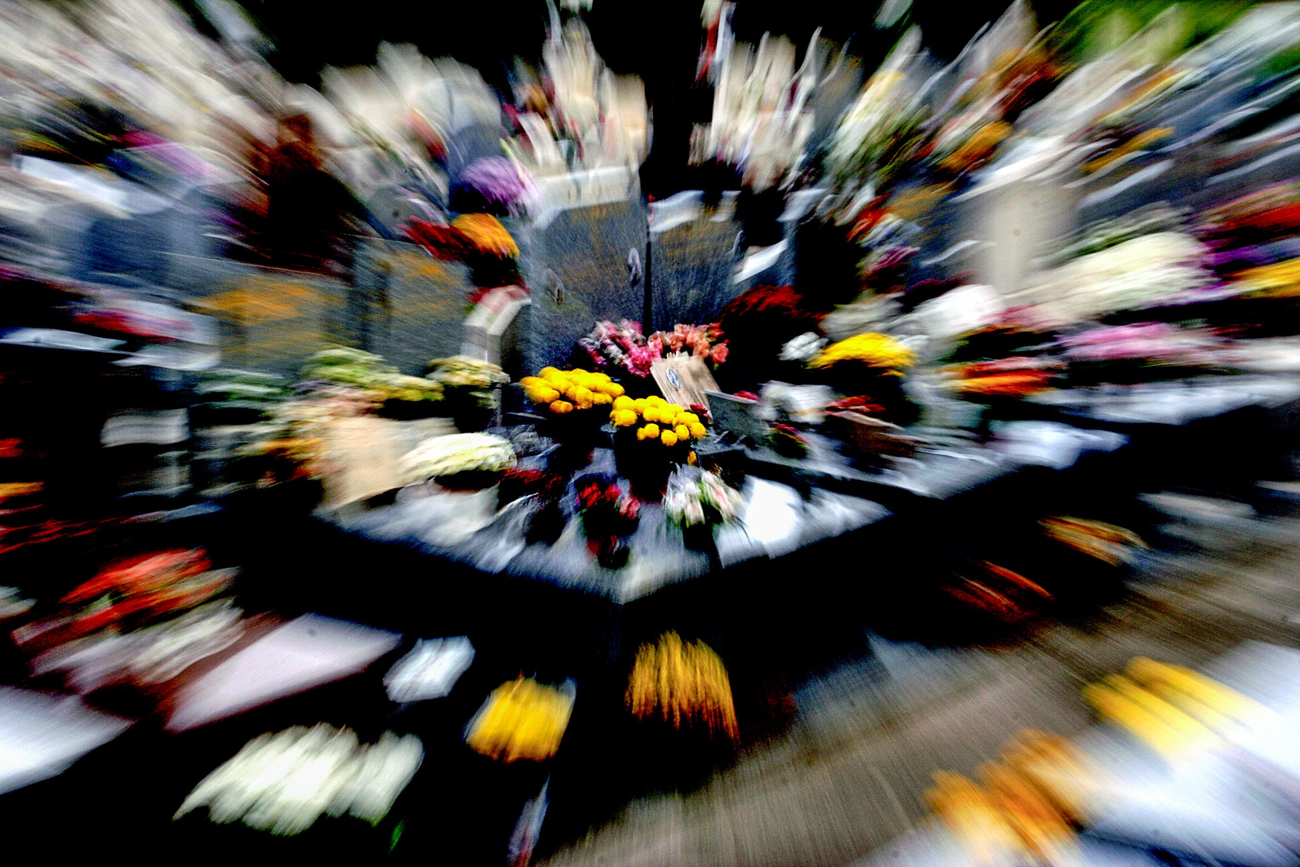 E084D4F2-12FF-4EBD-9D74-A0D31E55BC3B