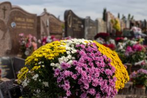 EBF56970-40BD-4BEE-A7FB-3A55995D965C