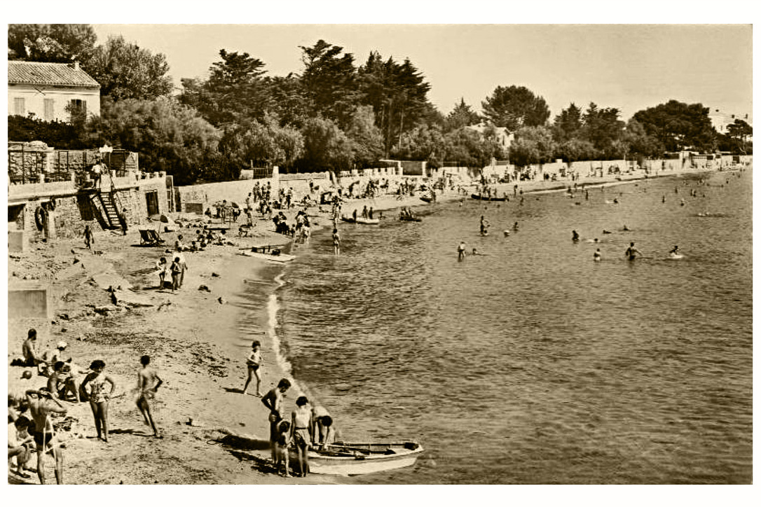 6F406D1A-4045-46B7-AF00-5C7CCE9DD05A_1_105_c