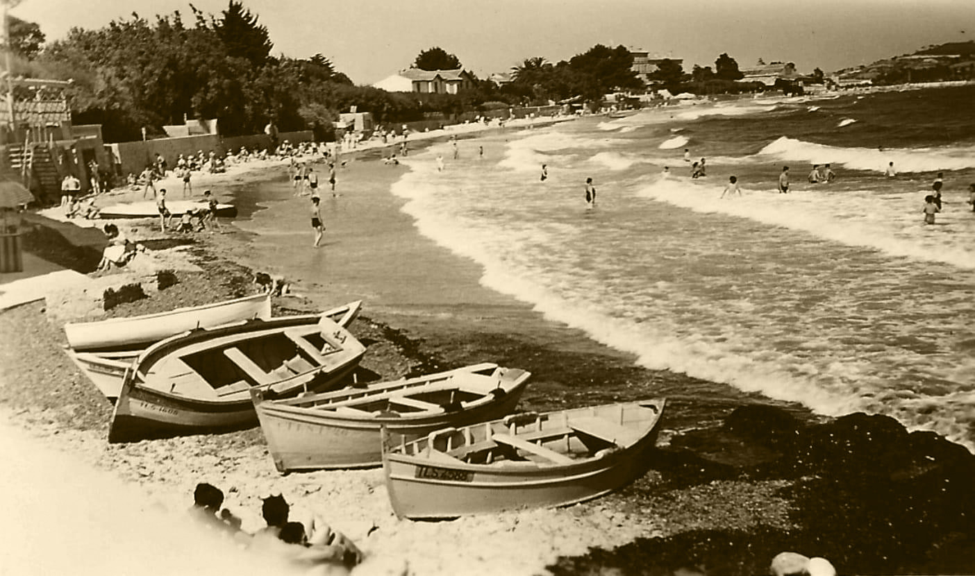 7AF6BDDA-B39B-484C-8243-11D3C8B9147B_1_201_a