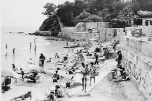 B10E2D34-A7FF-4A7E-A699-8DF3B9CB23A0_1_201_a