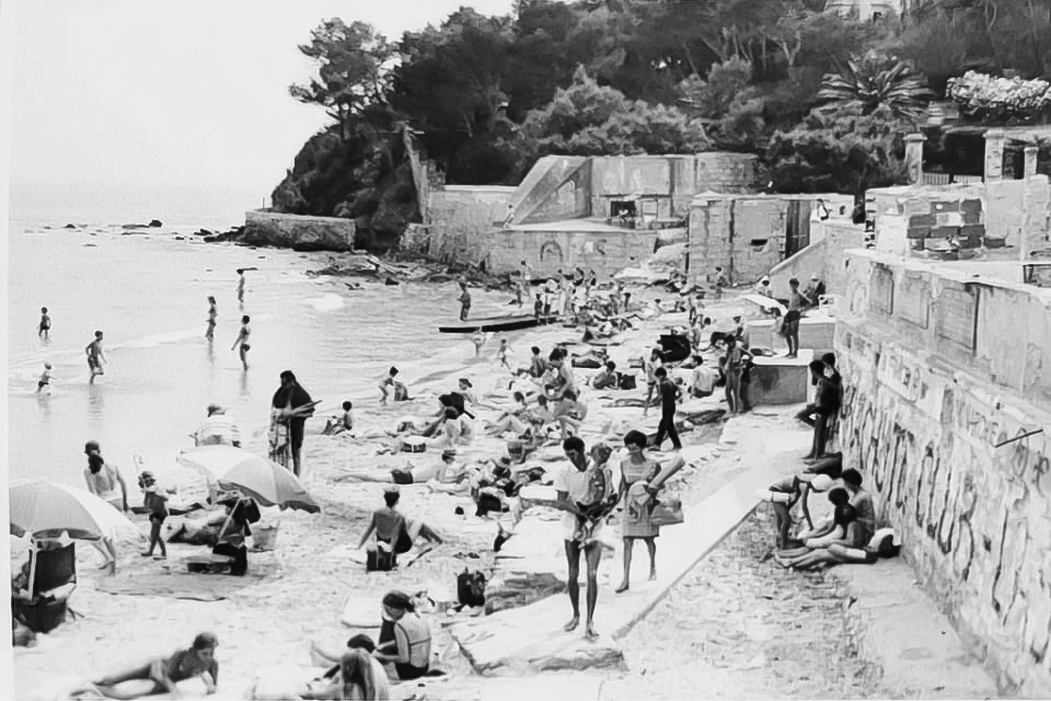 B10E2D34-A7FF-4A7E-A699-8DF3B9CB23A0_1_201_a