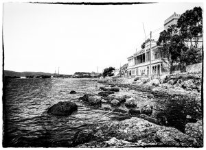 34CD9645-141A-4D2B-8A3D-6F403504F7C9_1_105_c