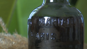 Capture d’écran 2024-10-25 à 09.30.12