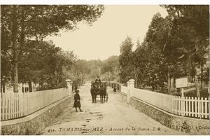 AEB15B46-286A-4DB5-AC78-CEA37B98EED1