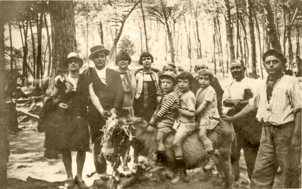 Capture-decran-2022-11-27-a-23.51.05-1024x643