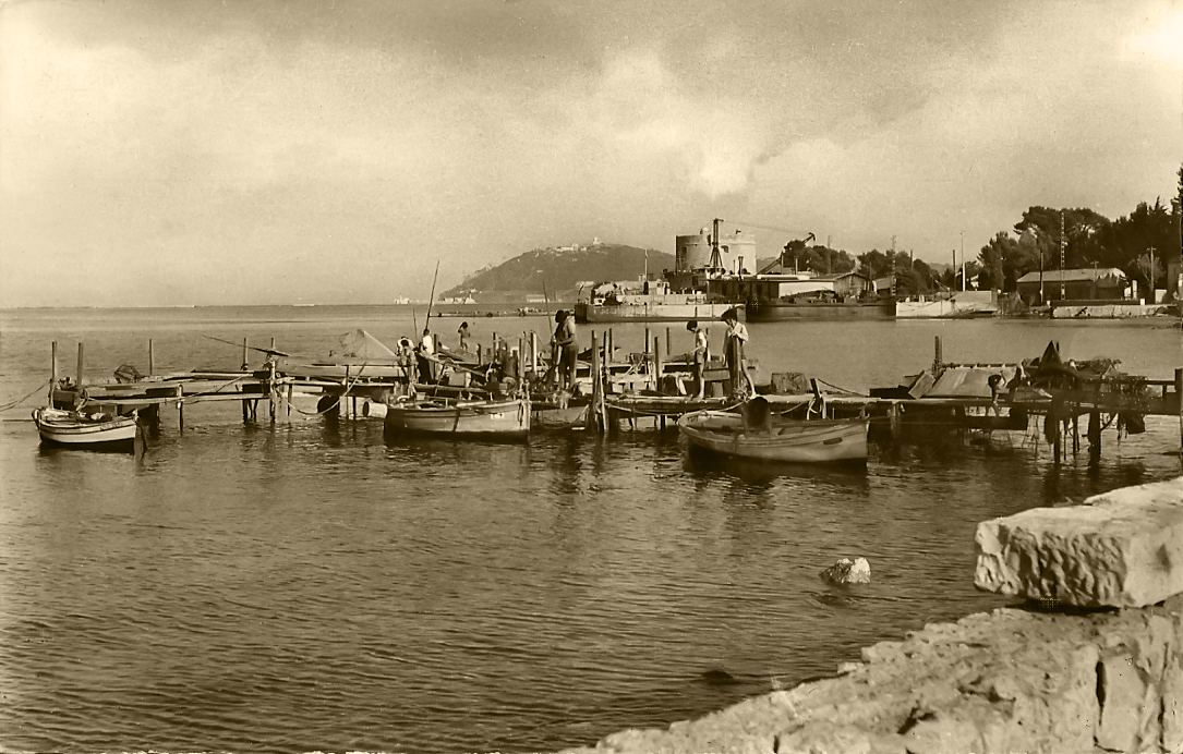 FA0C2377-4CAD-4188-9DBA-FE4C0CC8D4F3