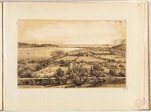 12 mars : De la fenêtre de Tamaris