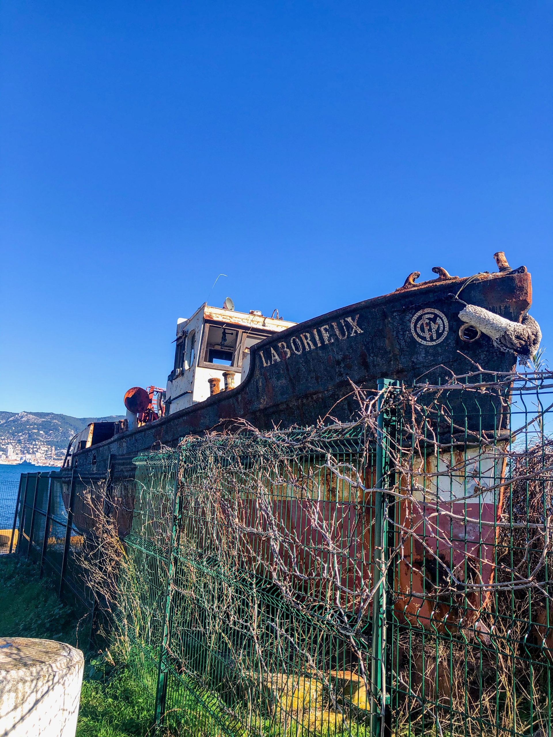 4C348CE9-AA7E-4257-A3A4-4D5F20AE7D1C_1_201_a