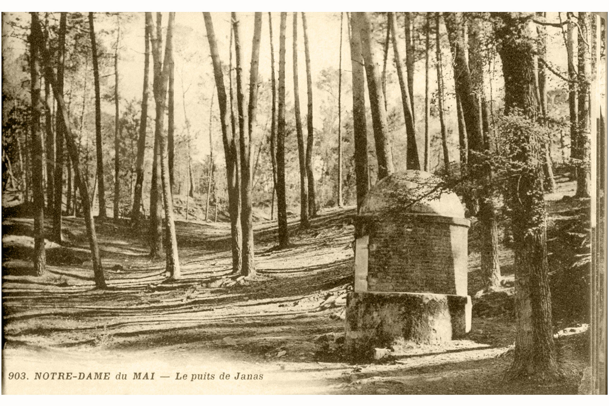 54357C25-240B-4AC7-BF1C-1A50102DE6AD