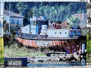 5A54A150-5108-41C6-BBC6-69436F38A12A_1_201_a