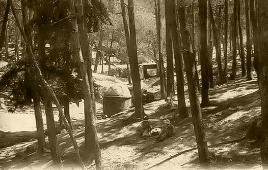 5AB17DDB-29C3-4E38-A04A-A083D0C89A99_4_5005_c