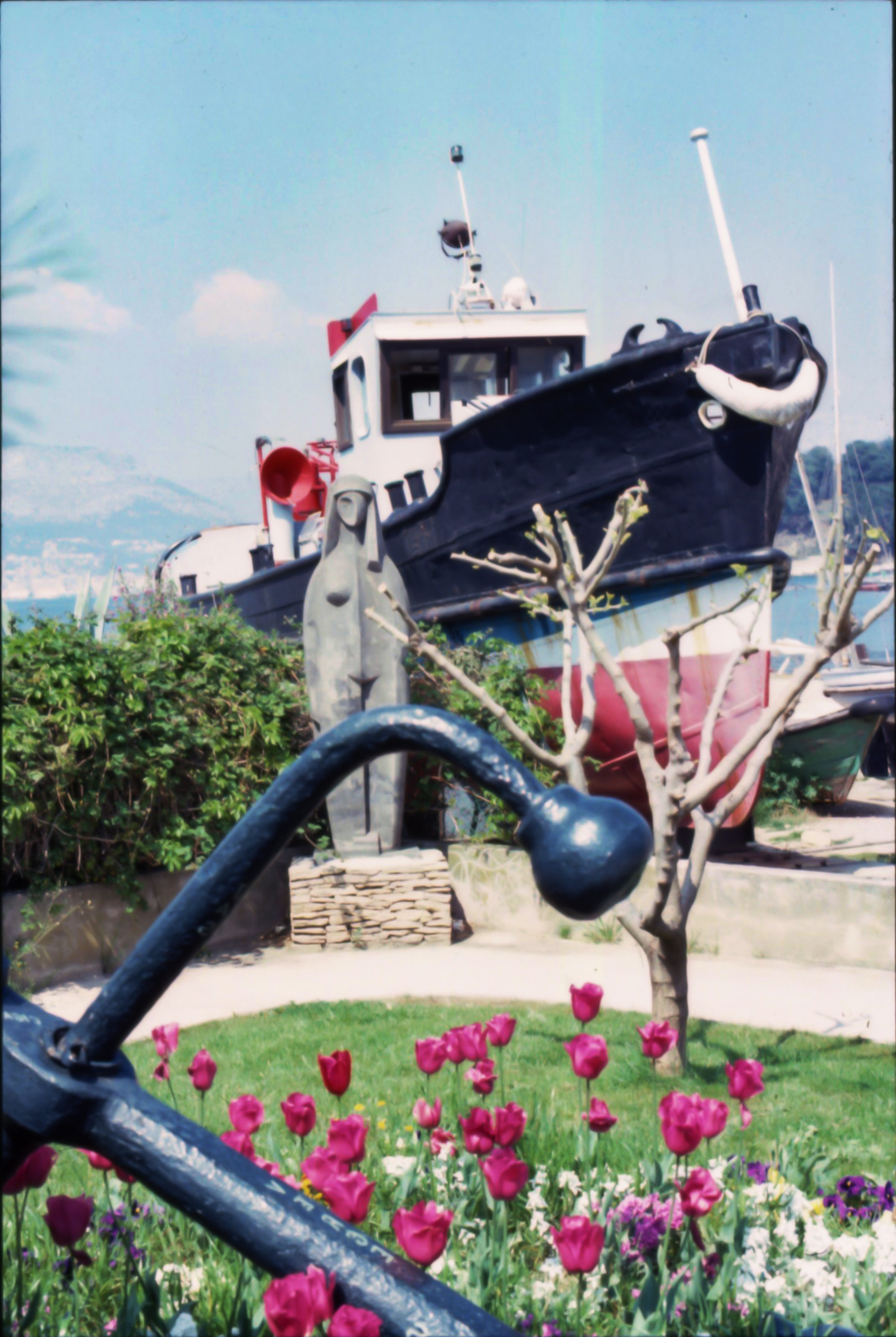 674F223A-5846-4186-B06E-FF3A627E4494_1_201_a