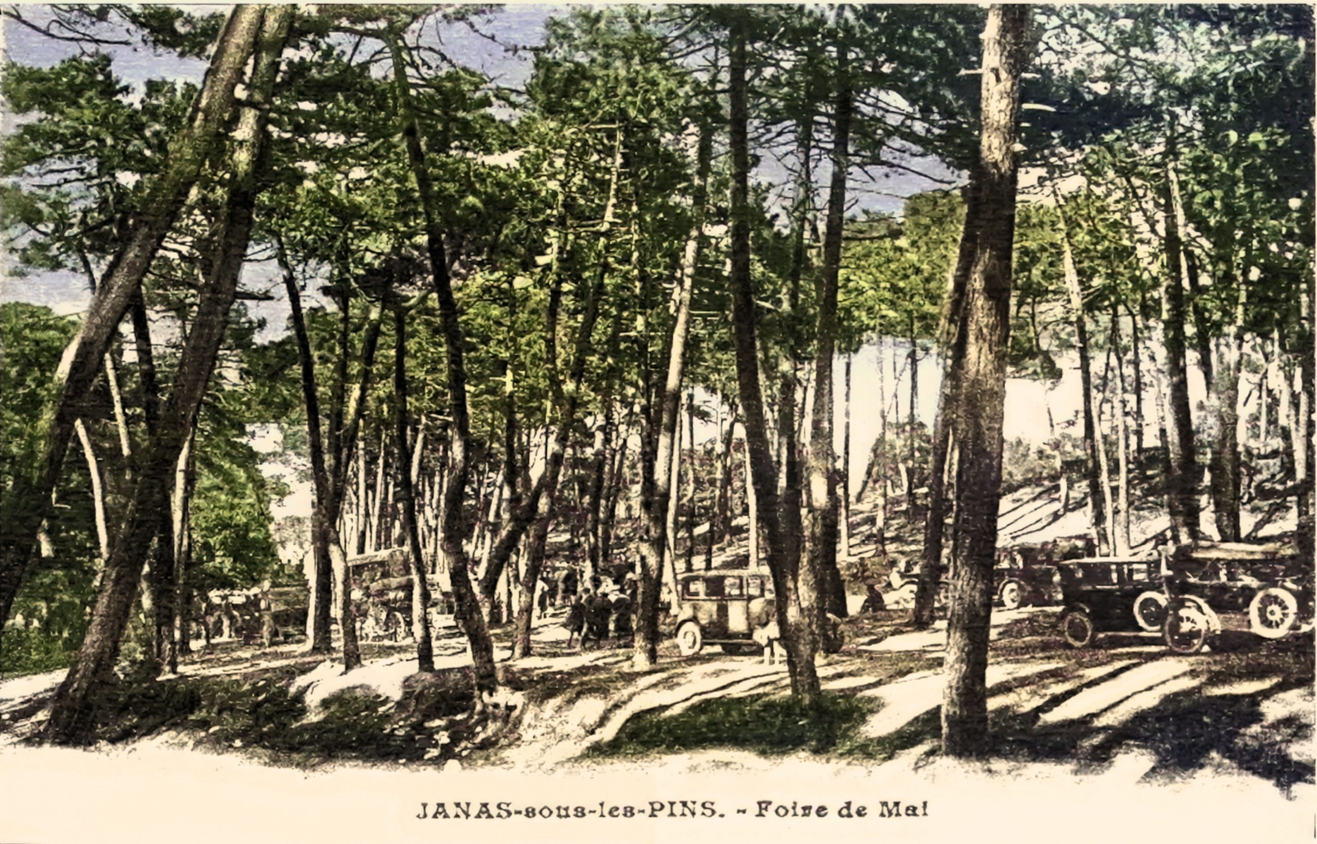 A06ADF65-6041-4037-BDE9-BEE4DEB1D3B8