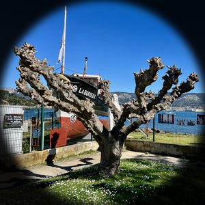 B8C7713F-75B8-4800-8A5F-856A3733DD18