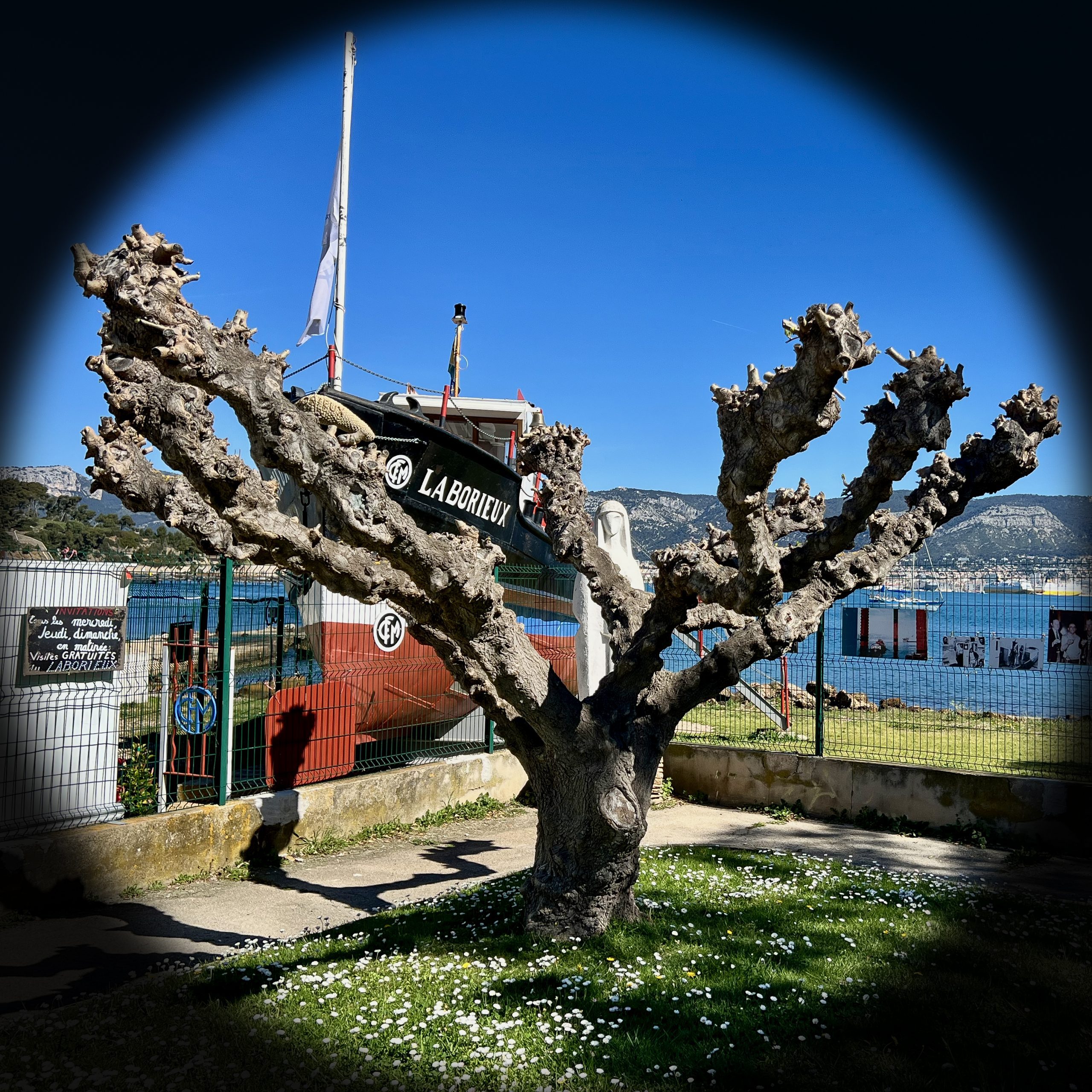 B8C7713F-75B8-4800-8A5F-856A3733DD18