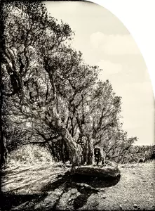 IMG_1261-EditR-EditFb