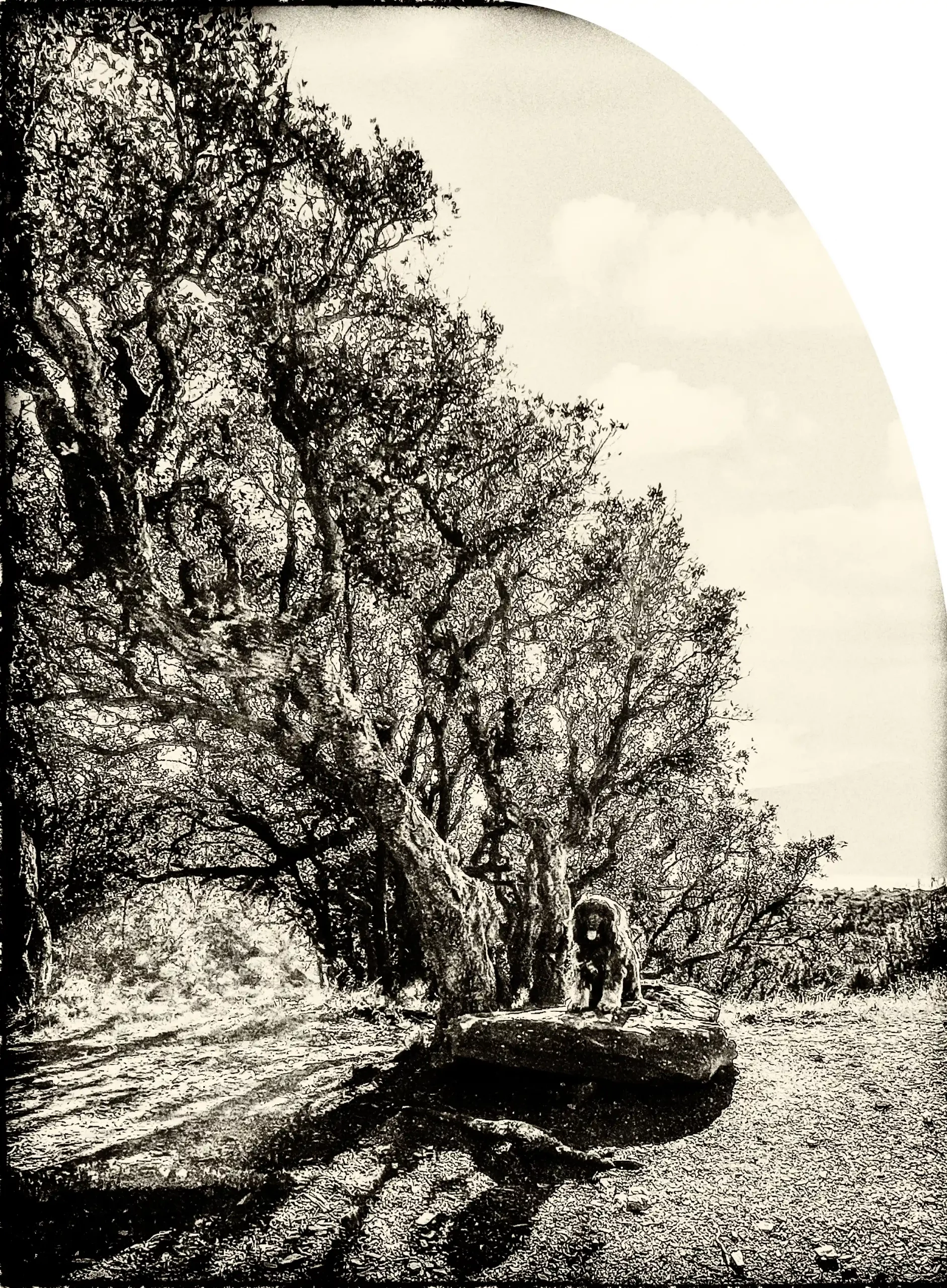 IMG_1261-EditR-EditFb