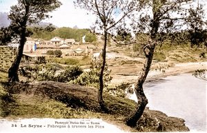 0DEC5344-C9B7-4249-931F-F70F0A6F99D6_1_201_a