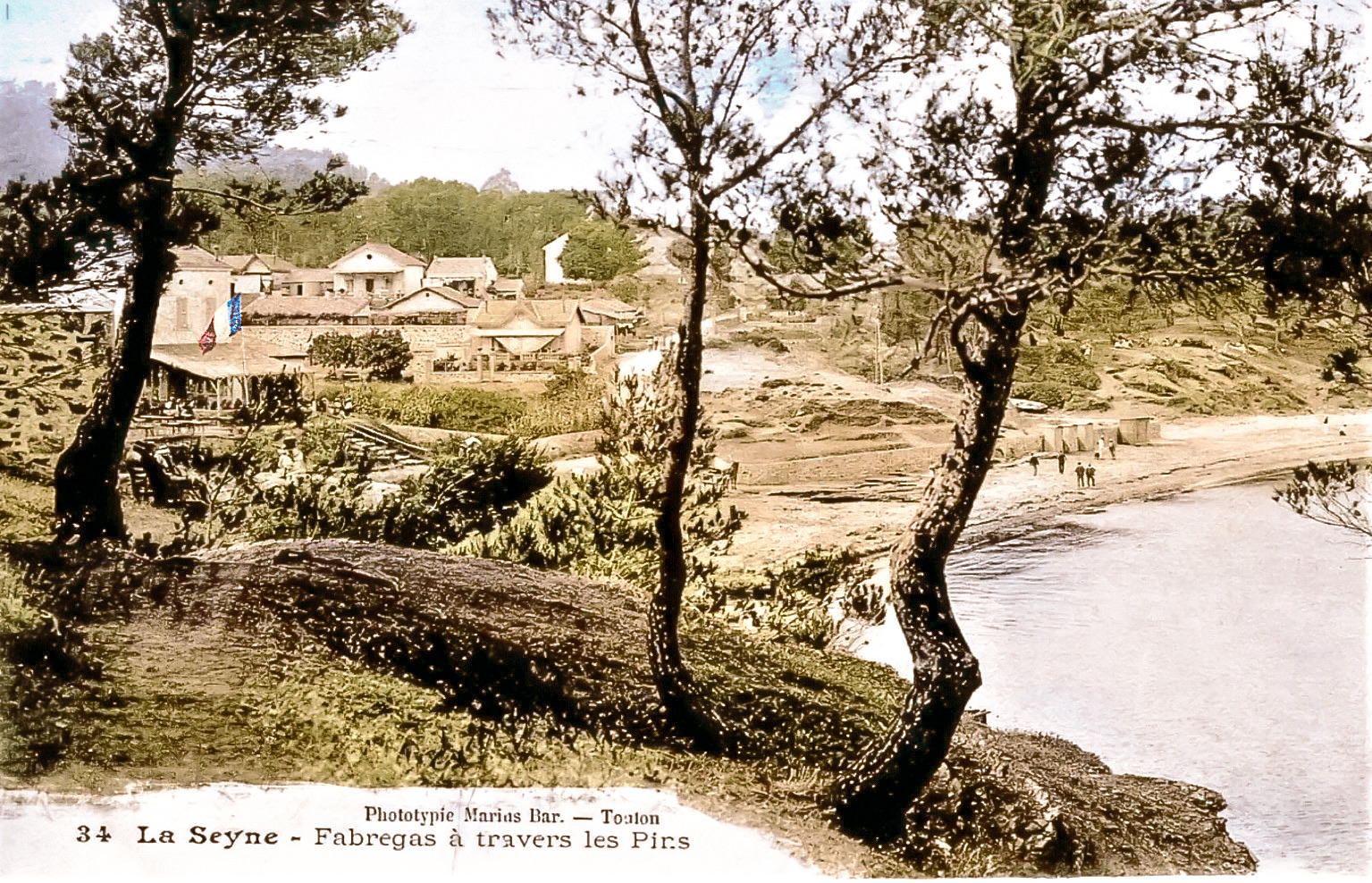 0DEC5344-C9B7-4249-931F-F70F0A6F99D6_1_201_a