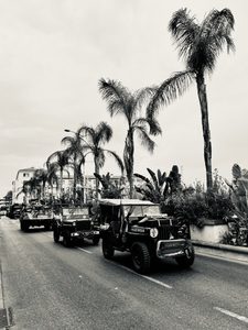 5386EA91-CBC2-4A53-89E7-7726B2369F77_1_105_c