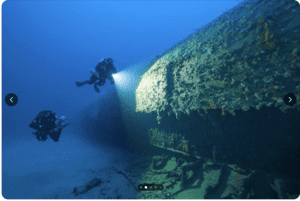 7F3C8245-3C05-49BC-8F22-2A3B8CE14F37