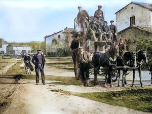 9AB99559-8345-4DFD-93FF-9F85BCEB81DB_1_201_a