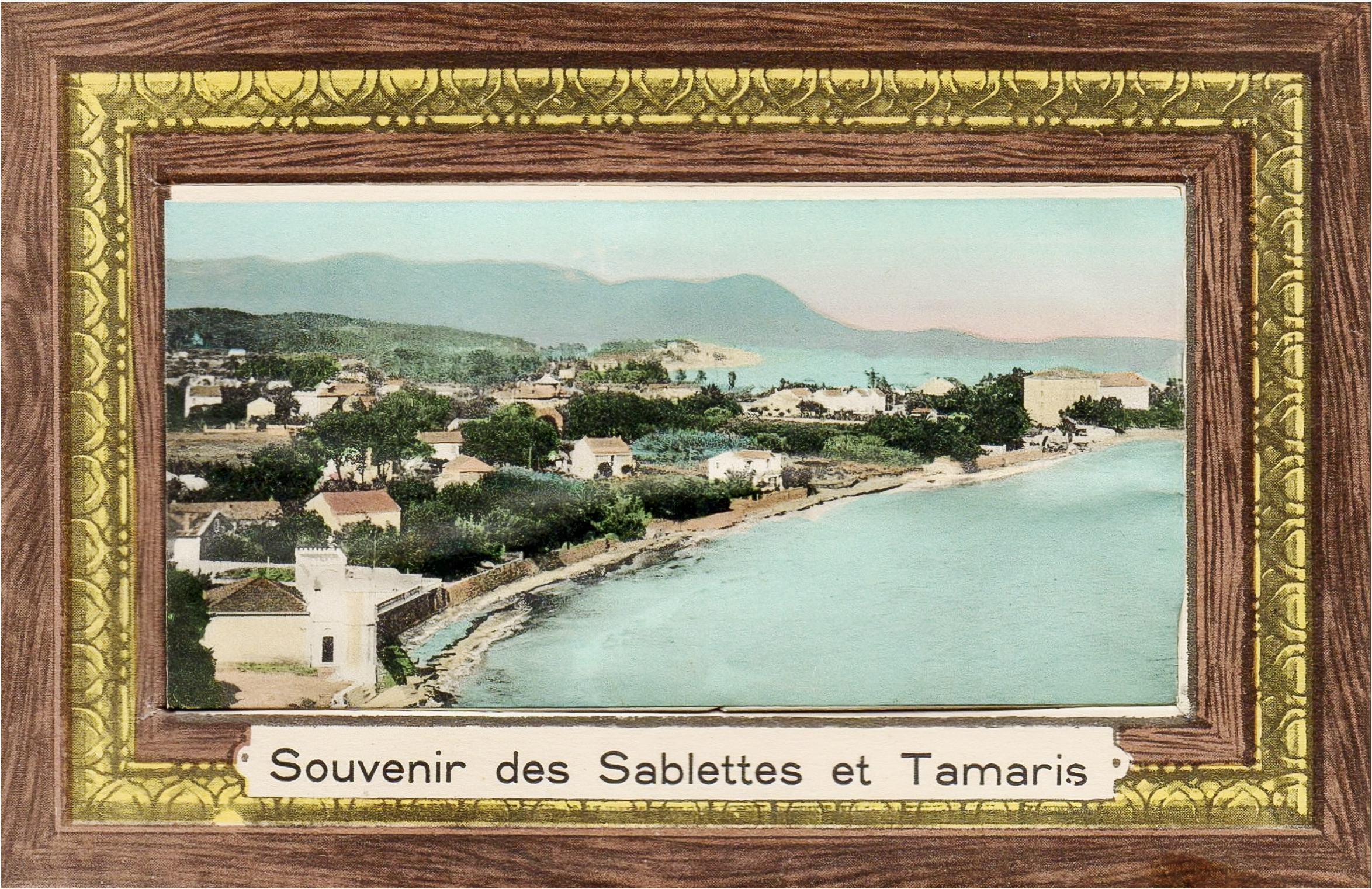 1F31B433-83AB-4F9D-81BF-7501976C0E32_1_201_a