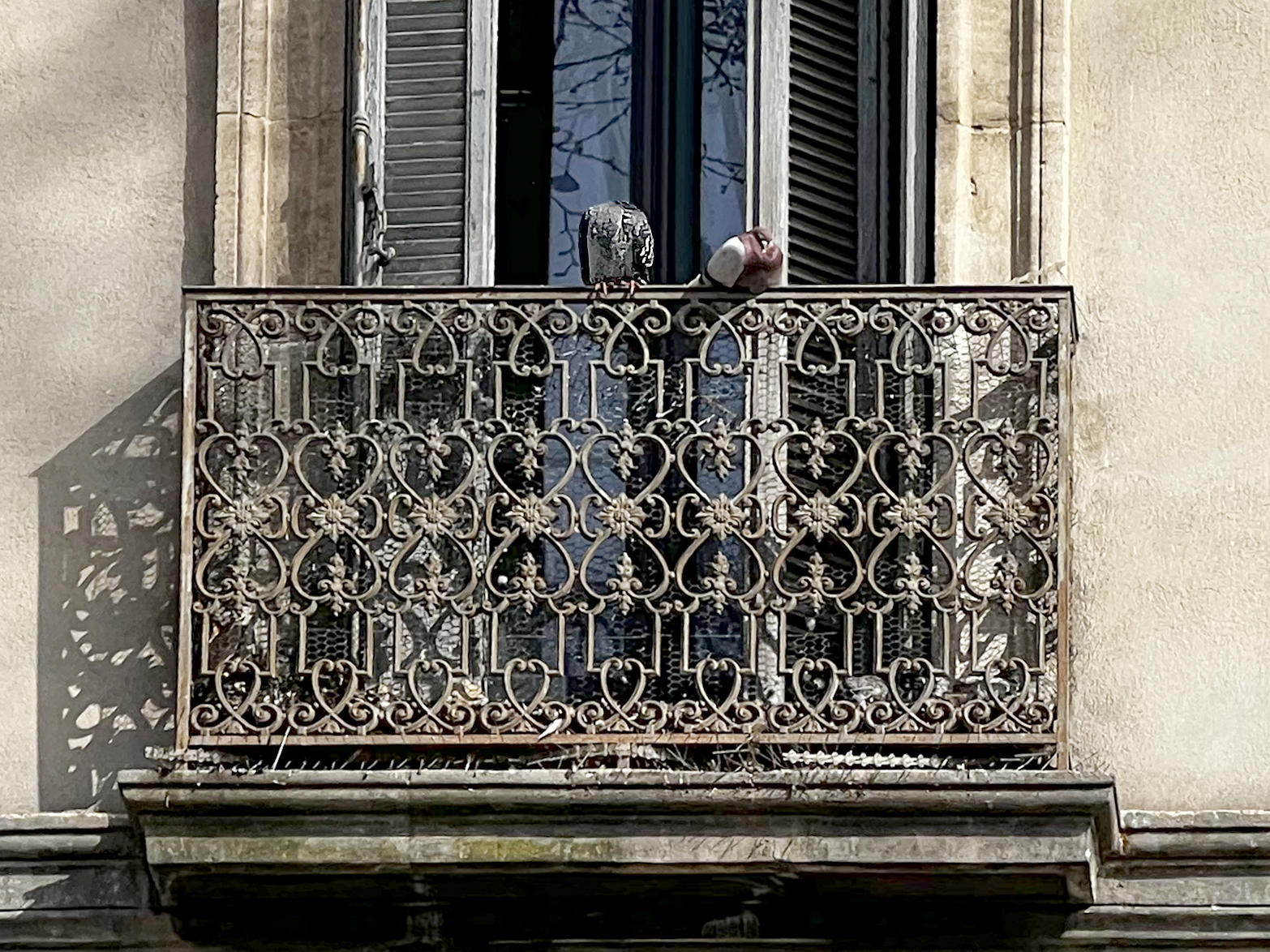 1345A4F4-A877-4BBB-B040-D61FF199E473