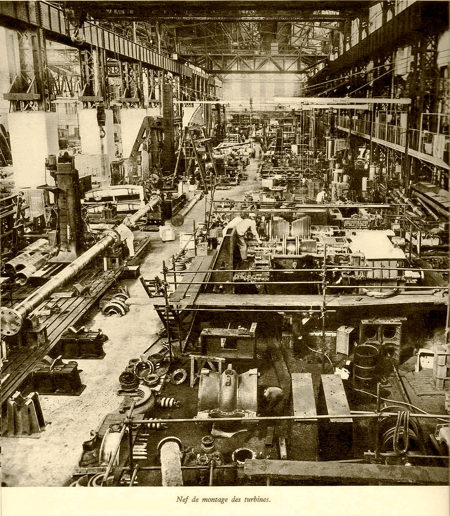 91CDB9FF-86E3-4A2B-9C38-3635204B0BEF_1_201_a