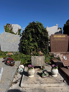 IMG_8958flouté